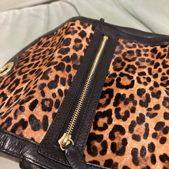 Coach - Picture 6 of 9